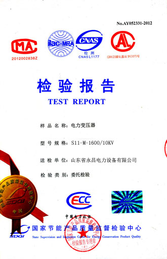 儋州电力变压器检测合格报告